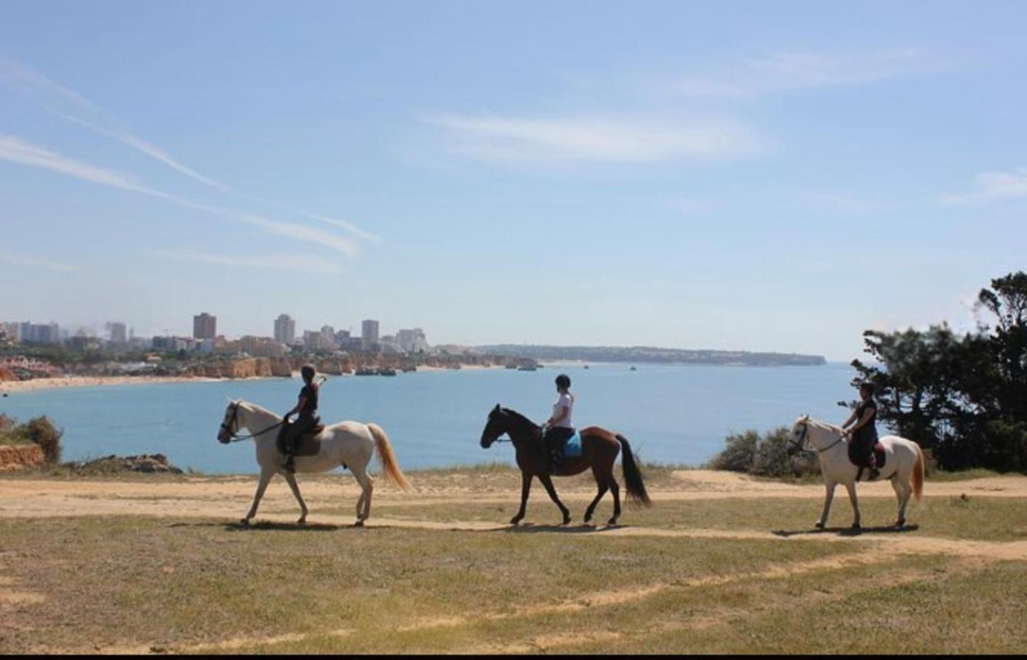 Apartamento Praia Da Rocha Sun & Sea Portimão Esterno foto